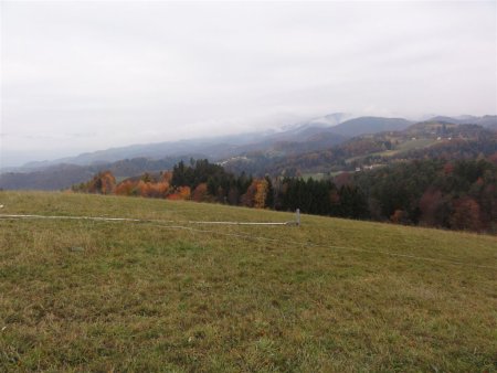 000-DSC00967.JPG.medium.jpeg
